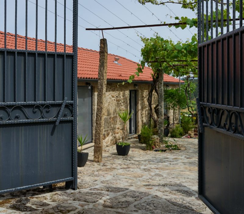DSC03341 (1)